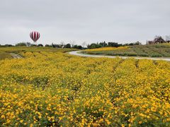 -歌斐颂巧克力小镇