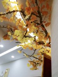 -芳朵美容养生SPA