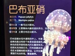 -萌宠奇缘