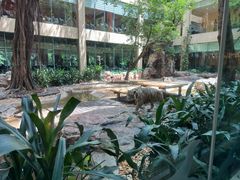 -白虎自助餐厅·真老虎·景观自助餐厅(广州长隆酒店)