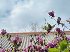 -昆明市金殿名胜区