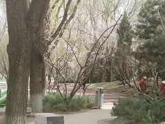 -南长河公园