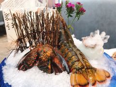 -半岛听涛蒸汽海鲜自助(K11店)