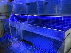 -芦茨金富饭庄·25年老字号·专做稻草鸡