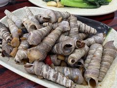 -贞姨美食·老字号海鲜大排档