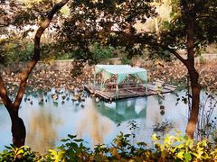 -虎丘山风景名胜区