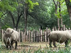 -北京野生动物园
