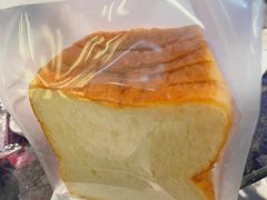 招牌生吐司-TD66高山铁皮石斛养生茶饮