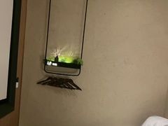 -新紫霞养生·影院足道·SPA(金山区店)