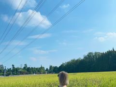 -桤木河湿地公园