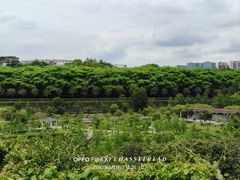 -东莞植物园