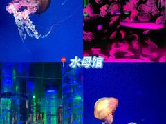 -海合安成都极地海洋公园