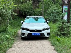 -五龙城郊森林公园