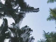 -田心森林公园