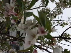 渔堂公园餐厅-渔堂公园餐厅·本帮菜(乐园路店)
