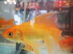 -水韵·渔家臻品私房菜(中庙店)