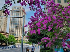 -东吴霸王兔(松青路店)