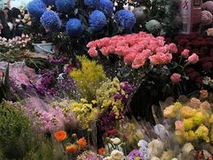 -越秀西湖花市(广州城市广场花卉店)