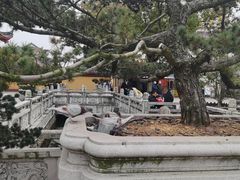 -上海东林寺(金山区)