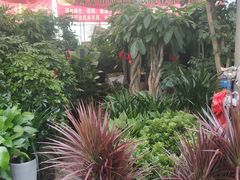 -秦美花卉(天朗·莱茵小城2期店)