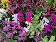 -北京植物园-展览温室