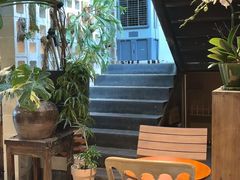 -自由生长植物工作室(深港花卉中心店)