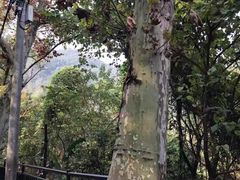 -渣滓洞