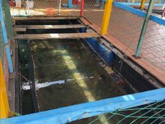 -蓝湾碧波·老字号·疍家非遗海上餐厅