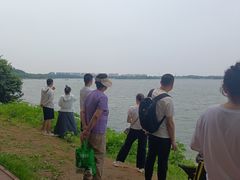 -丁香湖公园