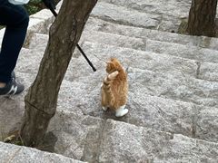 -青岛崂山太清宫