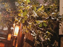 -绿茶餐厅(燕郊永旺店)