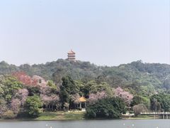 -点都德(广州白云山景区南门店)