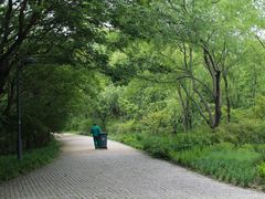 -西湖风景区-江洋畈生态公园