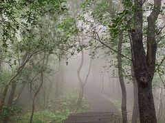 -紫金山山顶公园