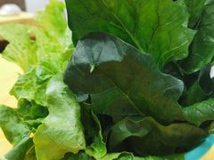 -濠轩阁特色生蚝火锅(水湾路店)