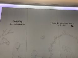 -DR钻戒(杭州星光大道店)