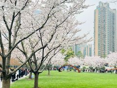 -静安雕塑公园