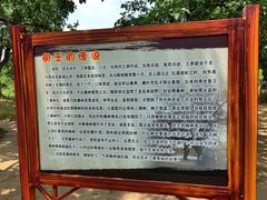 -御林古桑园