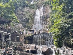 -鼎湖山风景区