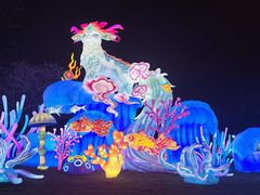 -厦门园林博览苑