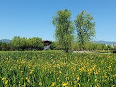 -永定河休闲森林公园