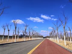 -天津东丽湖风景区
