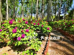 -仁和公园(顺义区)