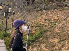 -小南山公园