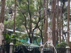 -深圳威尼斯英迪格酒店-邻芙花廊下午茶·NINFA GALLERY·蛋糕·咖啡