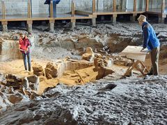 -自贡恐龙博物馆