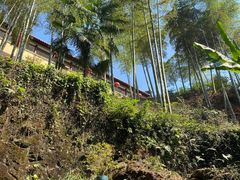 -超山青莲寺