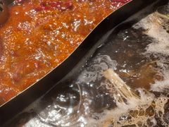 -朱光玉火锅馆(正弘城店)