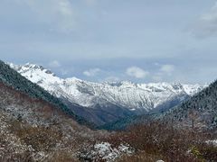 -黄龙山原始森林景区