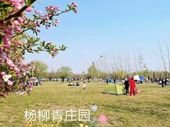 -杨柳青庄园